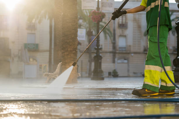 Best Roof Washing  in Dundee, MI